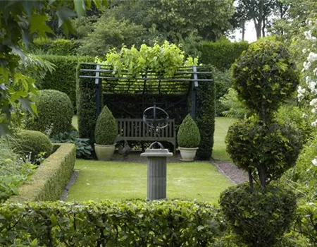 Auf die Form gekommen – Formgehölze im Garten Auf die Form gekommen – Formgehölze im Garten