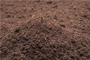 Kostenlose Bodentestaktion von 14.00 bis 18.00 Uhr