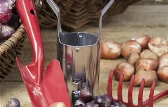 Ordnung im Garten Ordnung im Garten