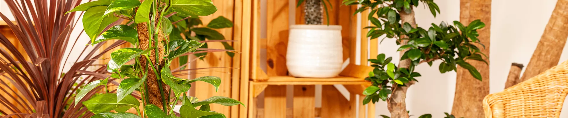 GS658416.jpg GS658416.jpg