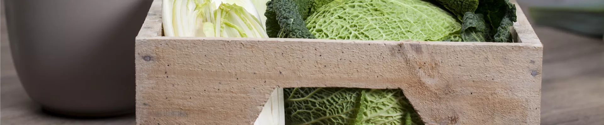 GS456027.jpg GS456027.jpg