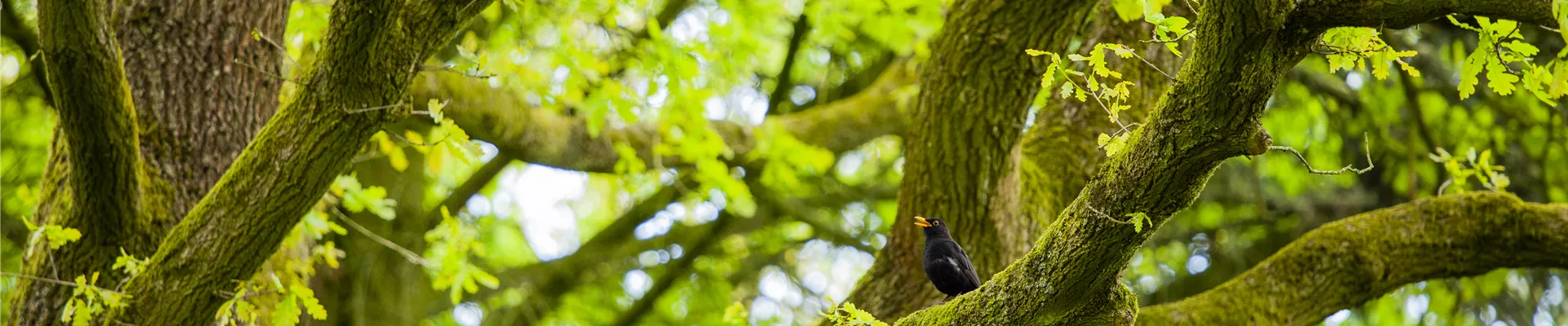 GS600446.jpg GS600446.jpg