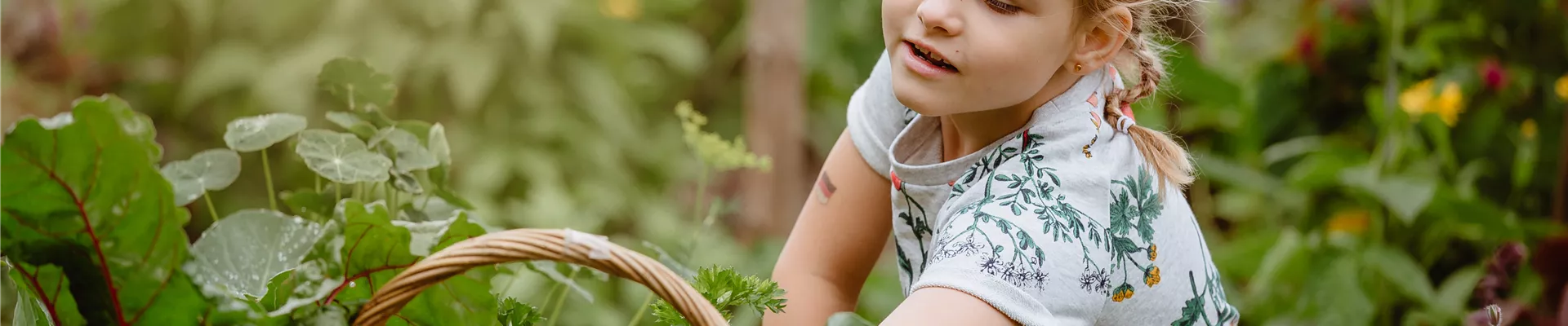 GS548758.jpg GS548758.jpg