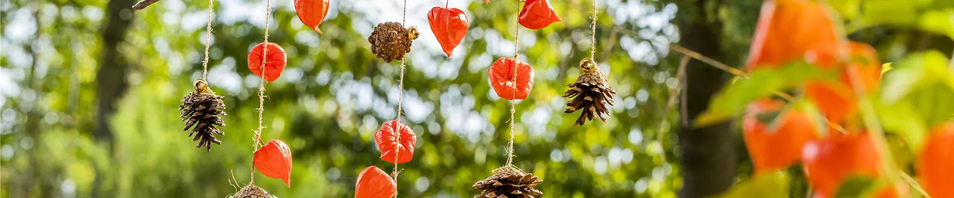 GS590691.jpg GS590691.jpg