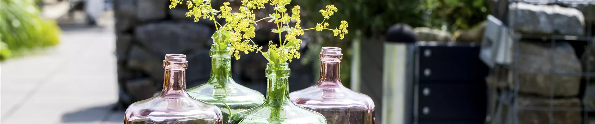 GS496875.jpg GS496875.jpg