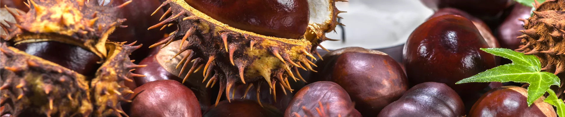 GS506688.jpg GS506688.jpg