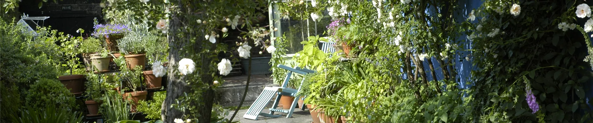 GS620405.jpg GS620405.jpg