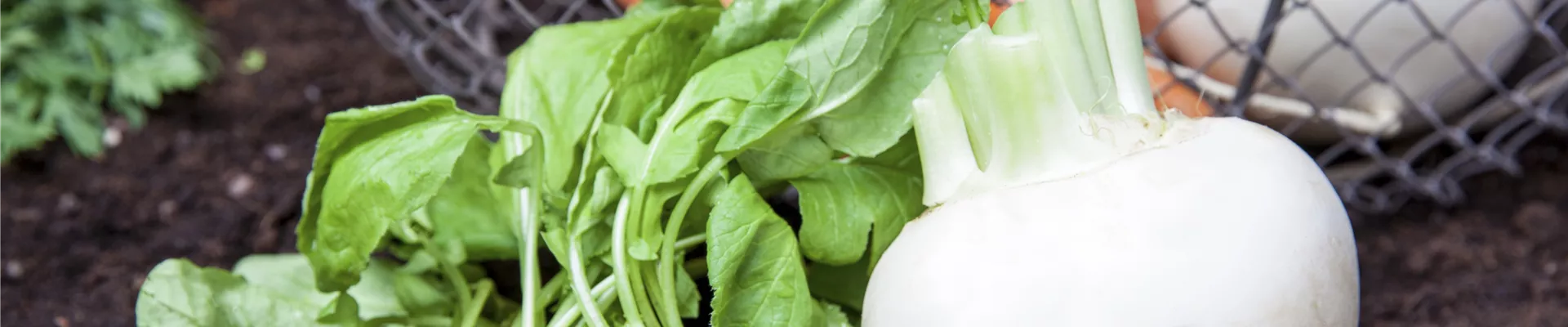 GS457324.jpg GS457324.jpg