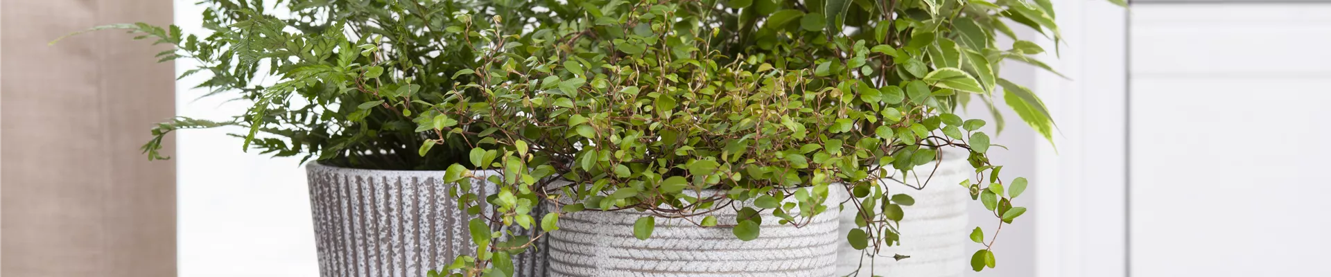 GS585481.jpg GS585481.jpg