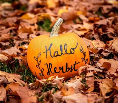 Workshop: Herbstliche Kränze 02. Oktober 14 bis 17 Uhr