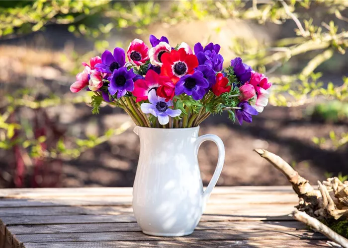 Schnittblumen Schnittblumen