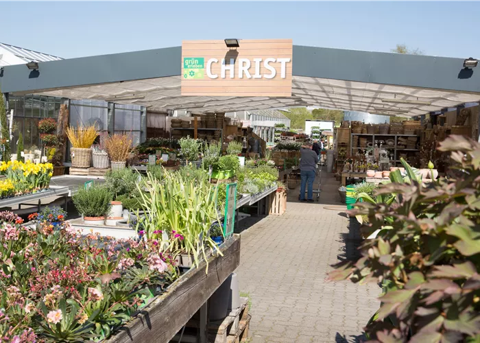 Gartencenter Christ Gartencenter Christ