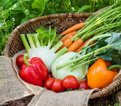 Workshop: Das kleine Gemüse ABC am 09. April von 14.00 bis 16.00 Uhr