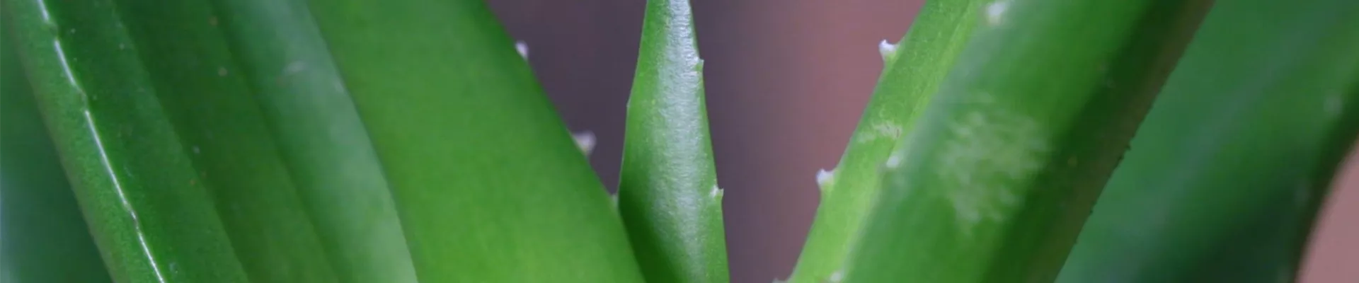 Ashampoo_Snap_Dienstag, 21. Juni 2022_10h17m42s_004_.jpg Ashampoo_Snap_Dienstag, 21. Juni 2022_10h17m42s_004_.jpg