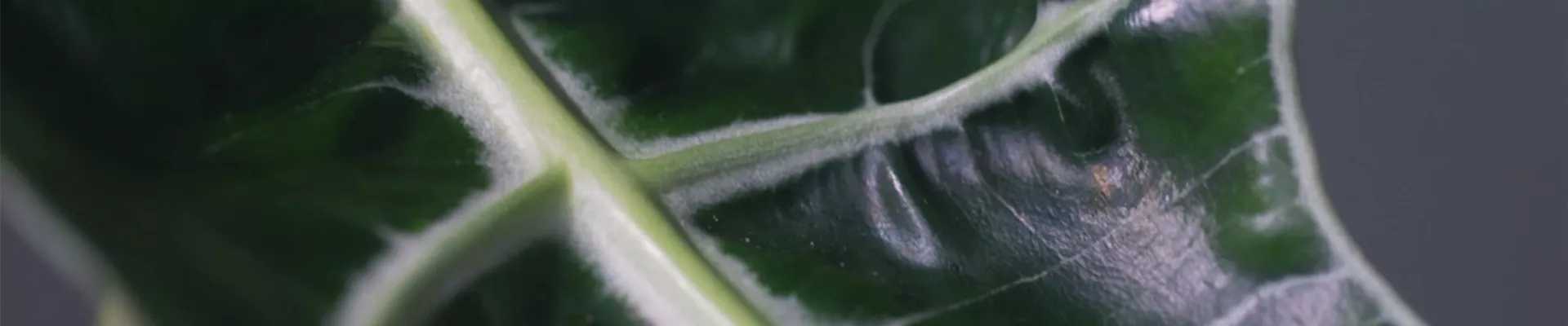 Ashampoo_Snap_Donnerstag, 23. Juni 2022_11h51m45s_003_.jpg Ashampoo_Snap_Donnerstag, 23. Juni 2022_11h51m45s_003_.jpg