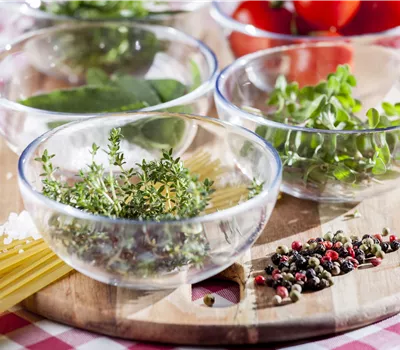 Workshop: Mein Kräutergarten von 14 bis 16 Uhr