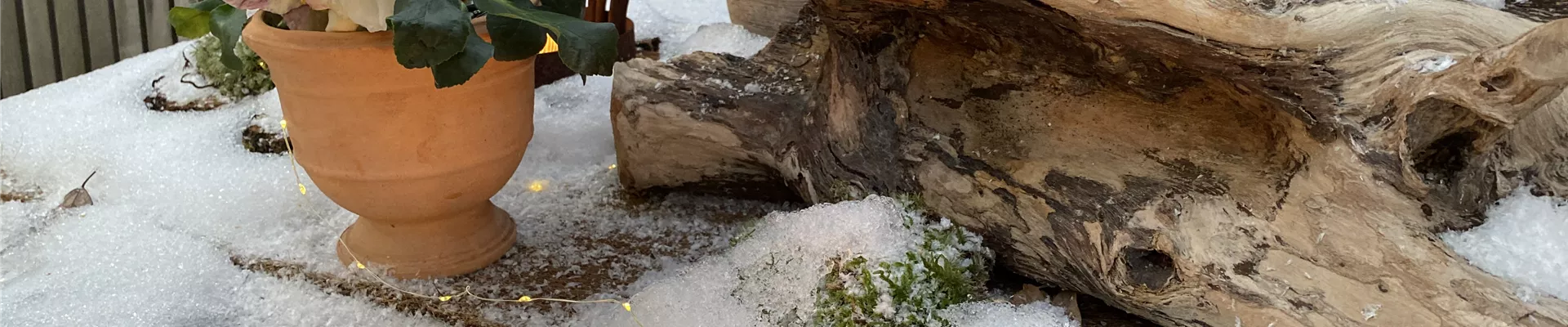 Kerze im Schnee.JPG Kerze im Schnee.JPG