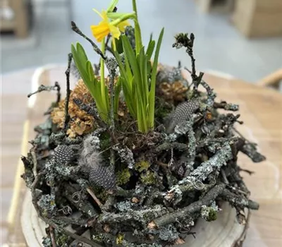 Workshop Frühlingsschale aus Apfelzweigen am 06. März ab 14 Uhr Workshop Frühlingsschale aus Apfelzweigen am 06. März ab 14 Uhr