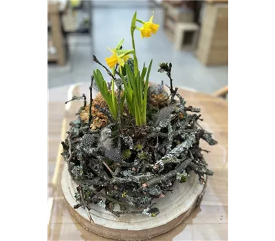 Workshop Frühlingsschale aus Apfelzweigen am 07. März ab 14 Uhr Workshop Frühlingsschale aus Apfelzweigen am 07. März ab 14 Uhr