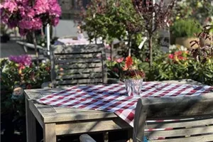 Tag der offenen Gärtnerei