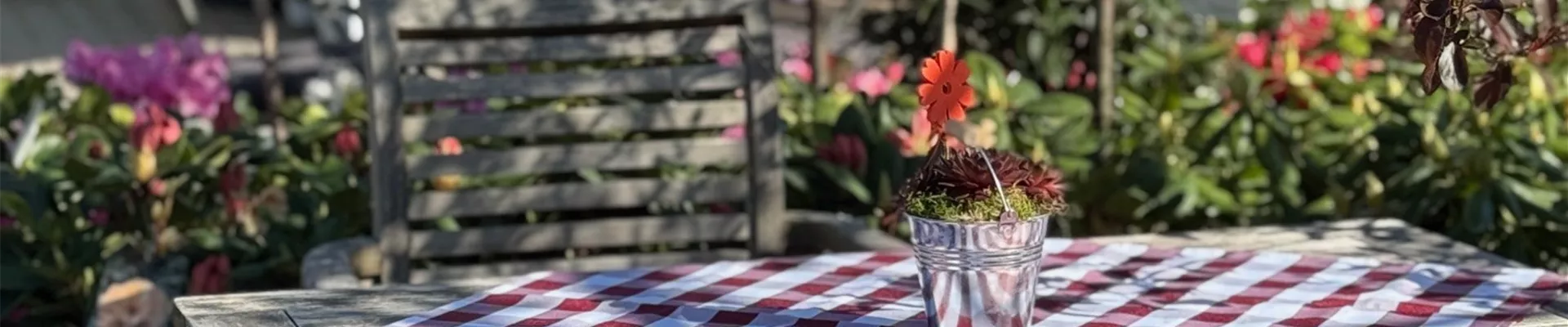 Tag der offenen Gärtnerei.jpg