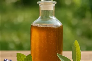 Oxymel-Workshop: Lernen Sie das alte Hausmittel neu kennen