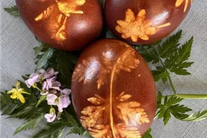 Ostereier färben mit Naturmaterialien von 14.00 bis 17.00 Uhr