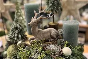 Adventausstellung im Gartencenter heute von 10.00 bis 18.00 Uhr