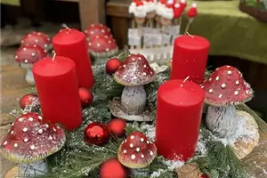 Adventausstellung im Gartencenter heute von 10.00 bis 16.00 Uhr
