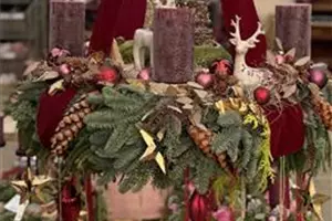Adventausstellung im Gartencenter heute von 10.00 bis 18.00 Uhr