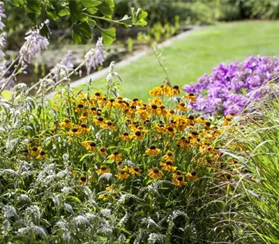 Workshop: Der klimaangepasste Garten am 12. April von 10 bis 12 Uhr Workshop: Der klimaangepasste Garten am 12. April von 10 bis 12 Uhr