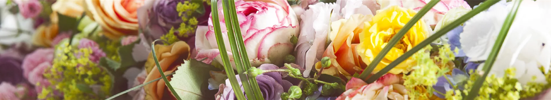 EventFloristik_Header.jpg EventFloristik_Header.jpg