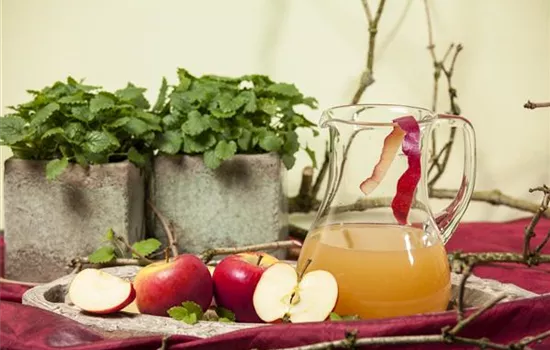 Malus domestica 'Topaz'(s) Malus domestica 'Topaz'(s)